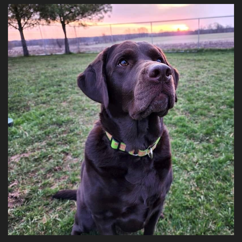 This is My Blog Title